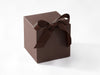 Dark Chocolate Brown Large Cube SoftBox Sample with Ribbon