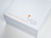 White Folding Gift Box with Custom Printed CMYK Digital Print