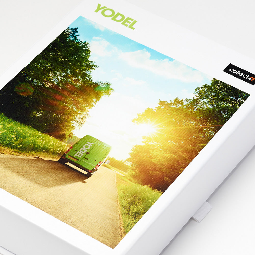 Multi-Colour / Digital #4