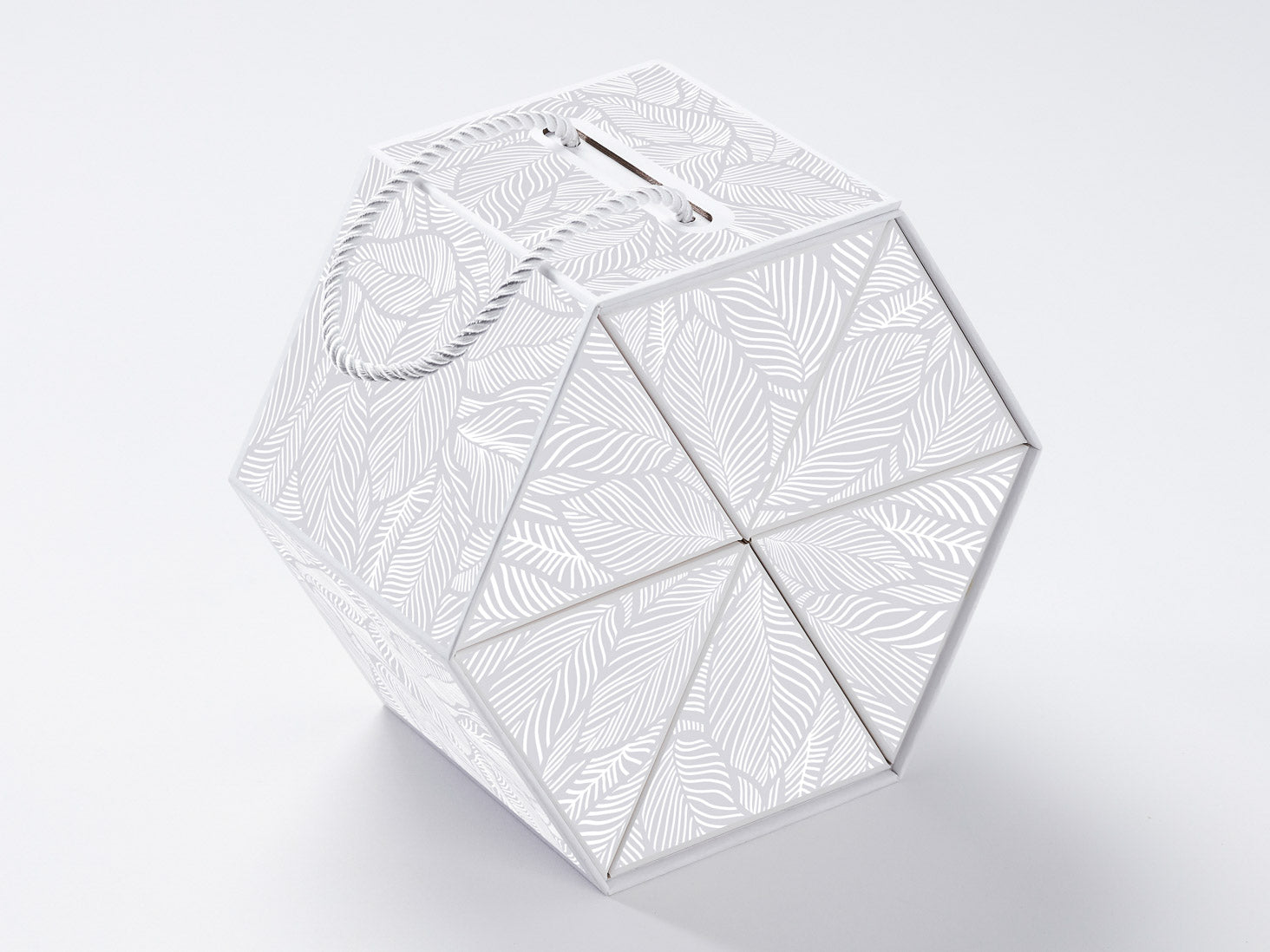 BrokenLogo - Rollabox 3