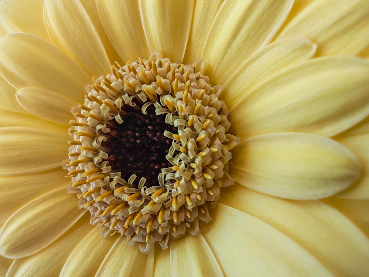 Butter Yellow and Sunshine: The Colour Defining Spring Packaging