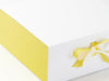 Sample Lemon Yellow FAB Sides® Featured on White Gift Box