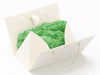 Classic Green Tissue Paper inside Ivory Boxbag
