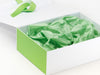 Classic Green FAB Sides® Featured with Classic Green Tissue and Ribbon on White Gift Box