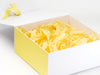 Lemon Yellow FAB Sides® Featured on White Gift Box with Lemon Yellow Ribbon and Tissue Paper