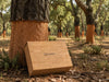 Natural Cork Luxury Gift Boxes