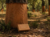Natural Cork Eco-Friendly Gift Boxes