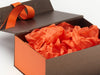 Orange FAB Sides® Featured on Bronze Gift Box with Orange Tissue Paper and Russet Orange Ribbon