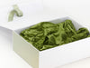 Sage Green FAB Sides® Featured on White Gift Box with Sage Green Tissue and Spring Moss Ribbon