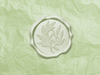 Seafoam Green Tissue Paper with Sage Green Wax Seal