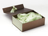 Seafoam and Spring Moss Ribbon with Sage Green FAB Sides® and Seafoam Tissue with Bronze Gift Box