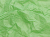 Classic Green Luxury Tissue Paper from Foldabox