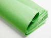 Classic Green Luxury Tissue Paper 240 Sheets