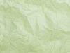 Pale Green Luxury 18gsm Tissue Paper from Foldabox