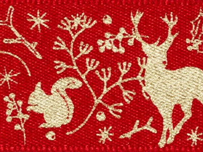 Red Wildwood 20m Recycled Satin Ribbon Roll